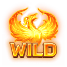 wild symbol