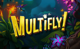 Multifly_